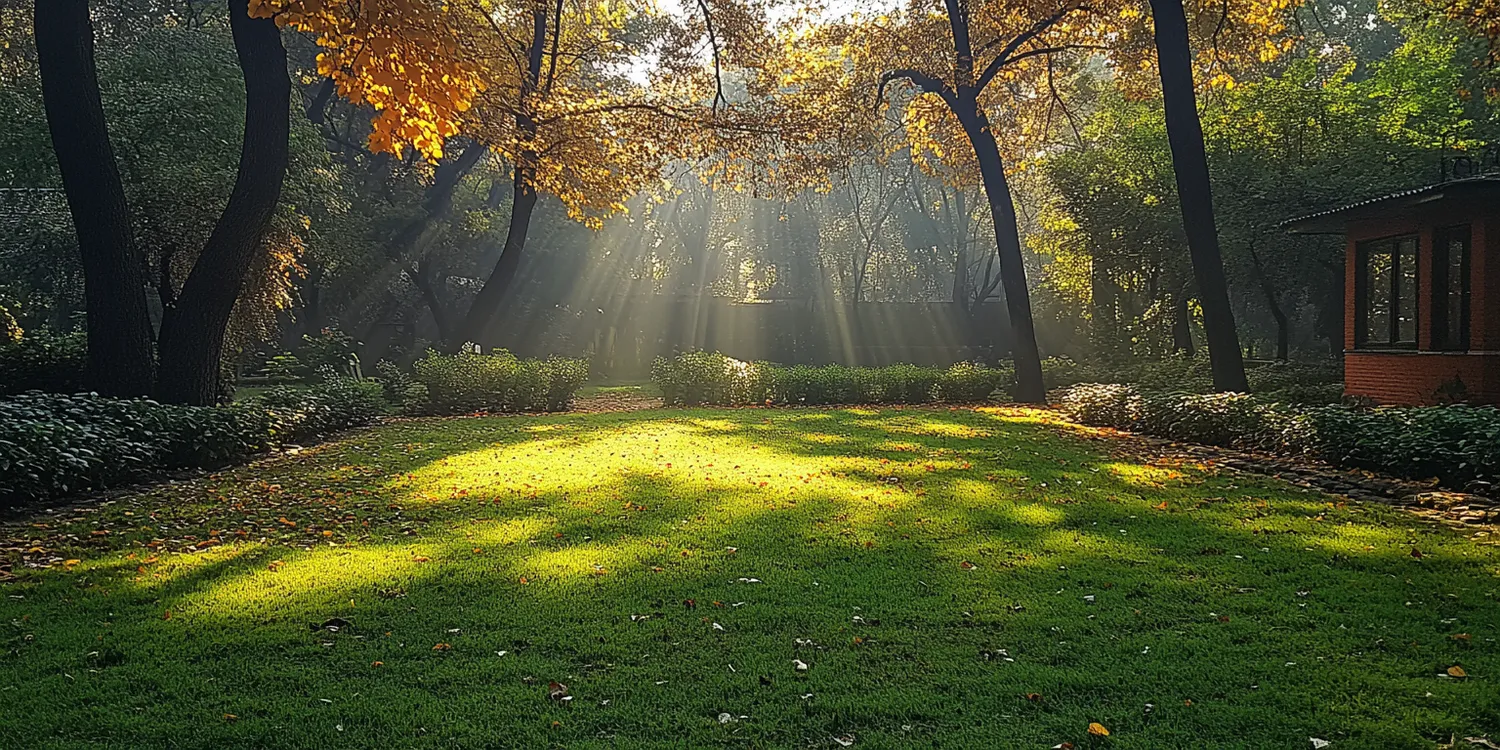 Jak długo ukorzenia się trawa z rolki?