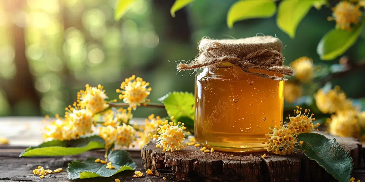 Kiedy podbierać miód rzepakowy?