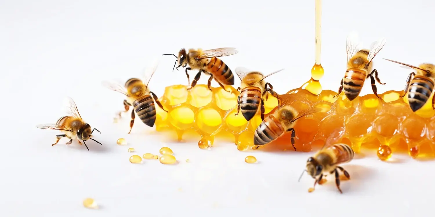 Spożycie miodu wielokwiatowego