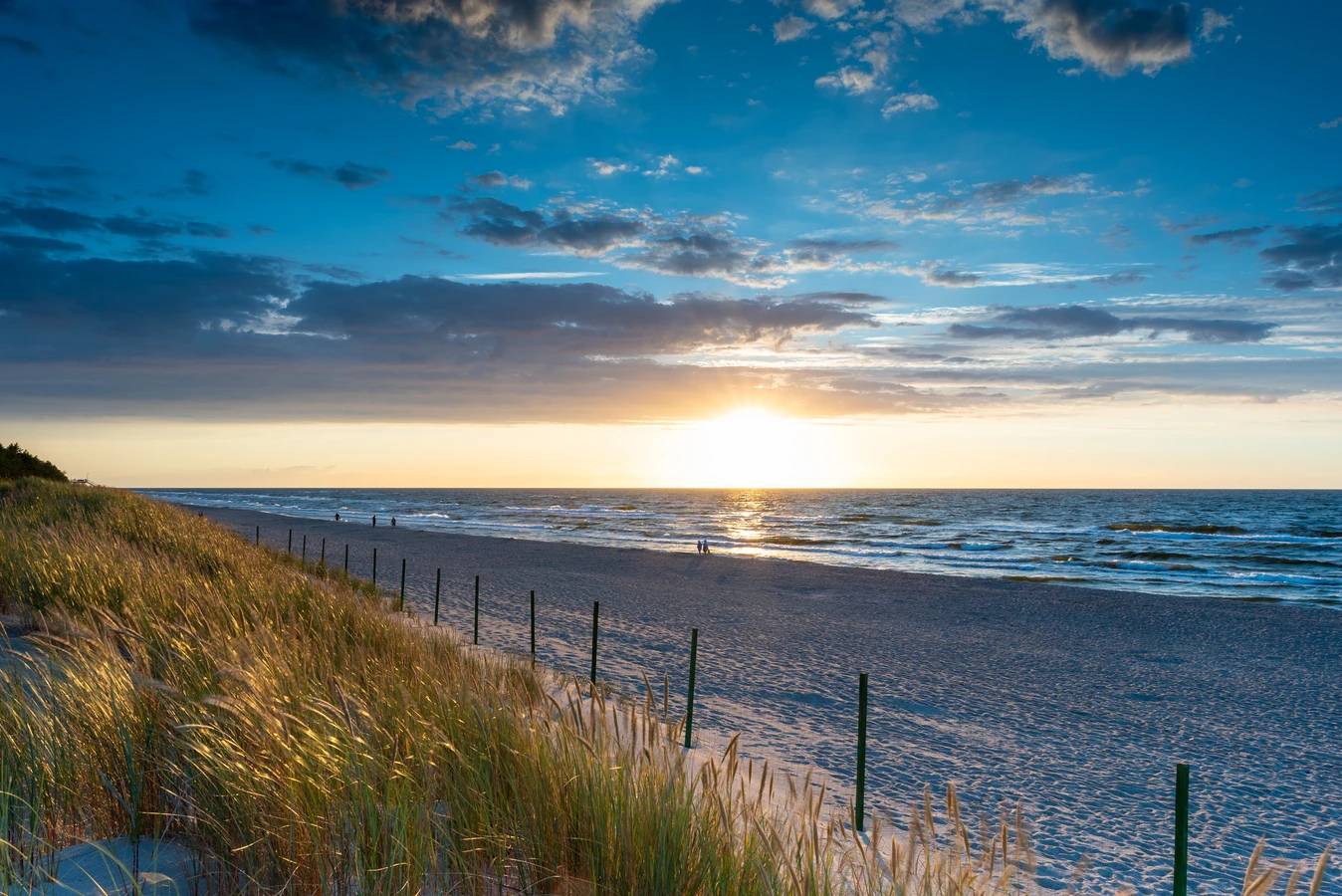 Ile waży trawa z rolki?