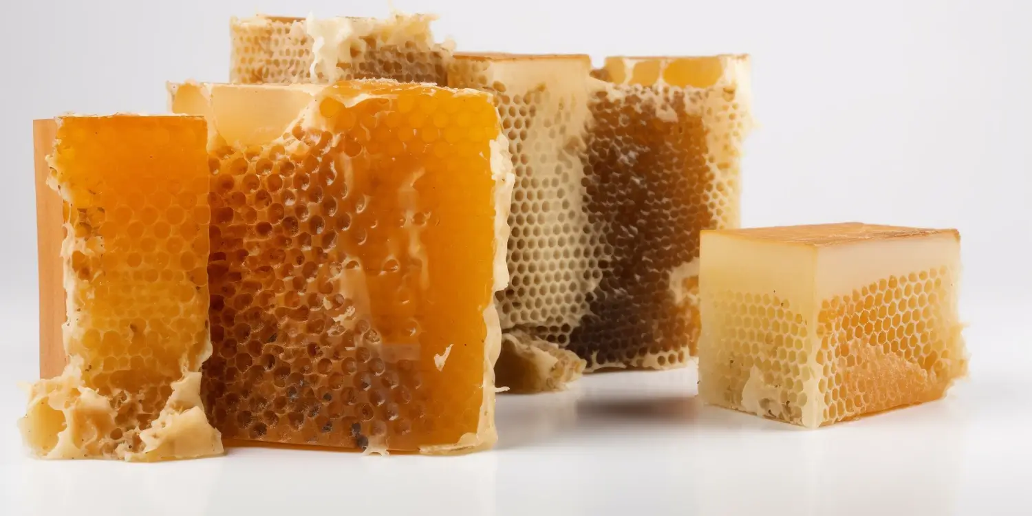 Najlepsze matki pszczele w Polsce