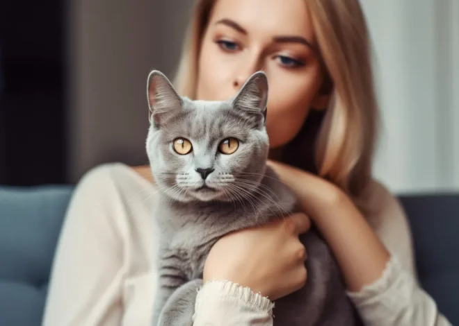 Usługi krematorium dla zwierząt krok po kroku