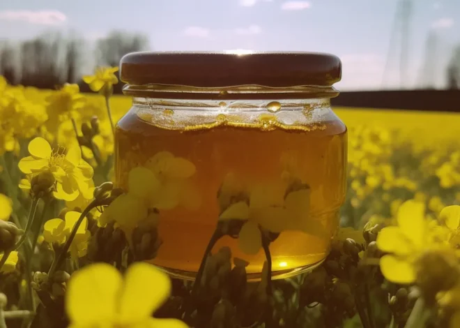 Miód spadziowy na co jest dobry?