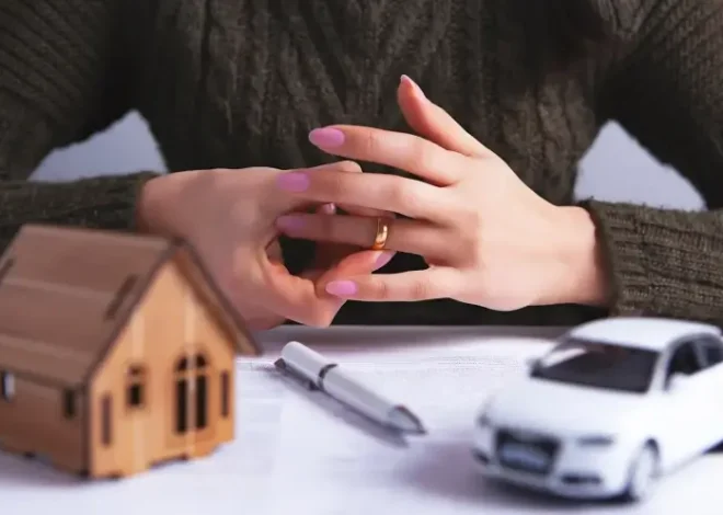 Co może kancelaria prawna?