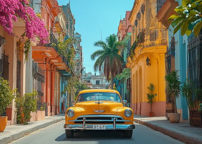 Wycieczki na Maderze po polsku